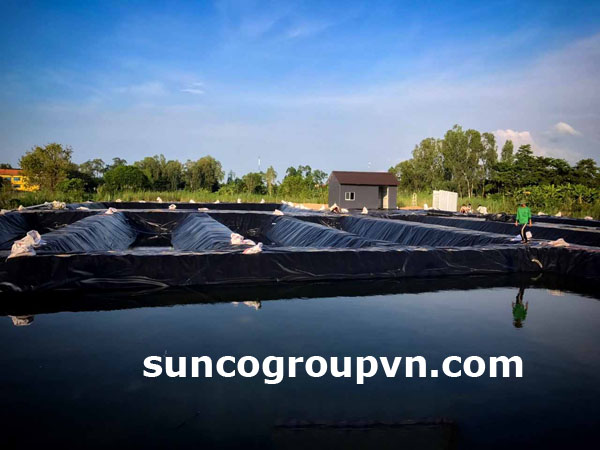 bạt lót hồ nuôi tôm hdpe chống tia uv