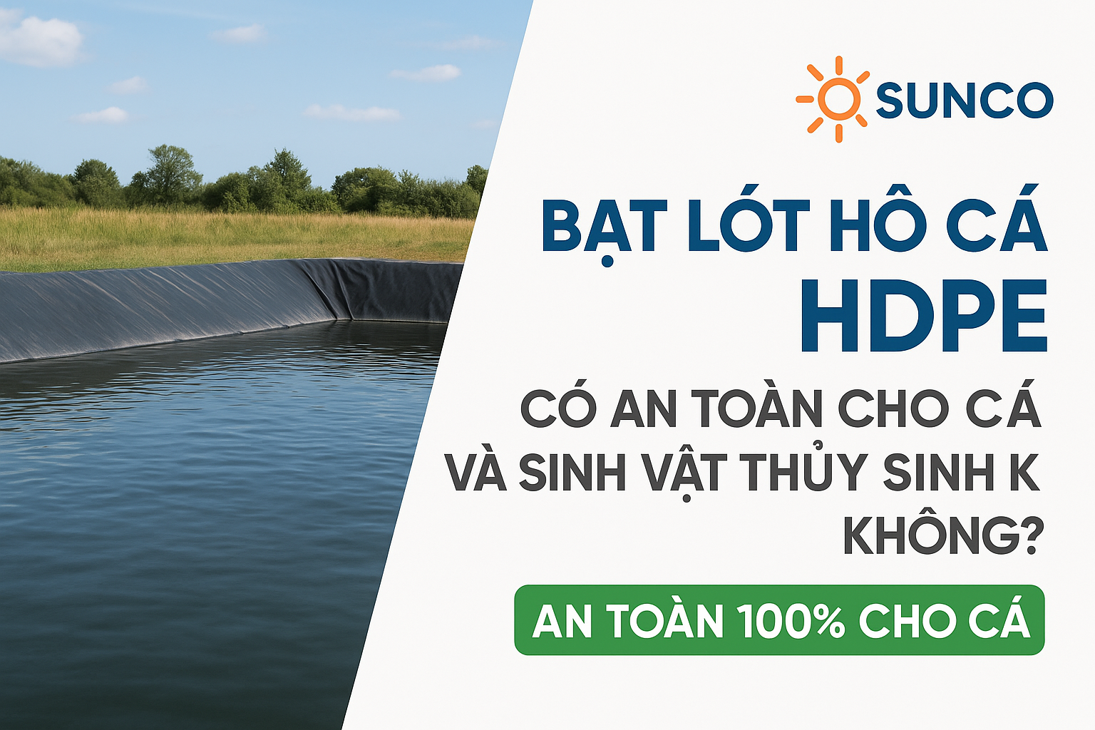 Bạt HDPE Hồ Cá Có An Toàn Cho Cá